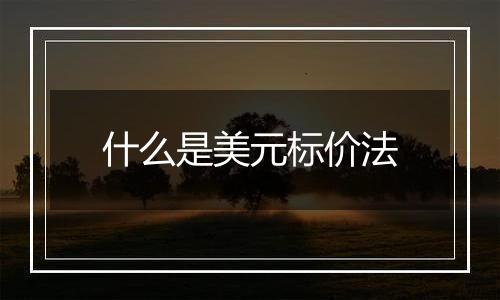 什么是美元标价法