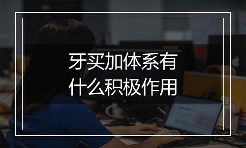 牙买加体系有什么积极作用