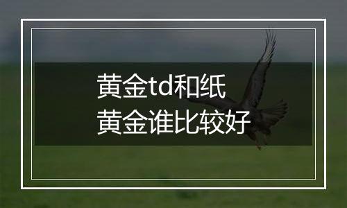 黄金td和纸黄金谁比较好
