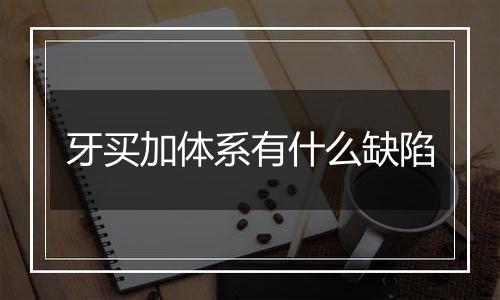 牙买加体系有什么缺陷