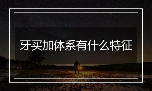 牙买加体系有什么特征