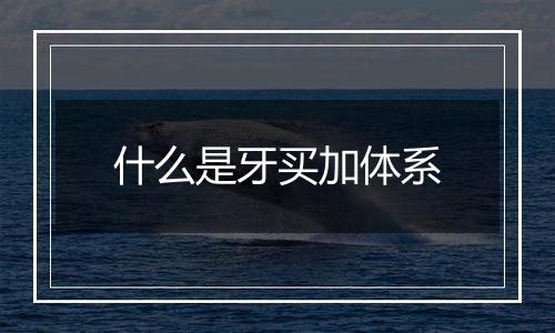 什么是牙买加体系