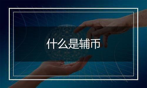什么是辅币