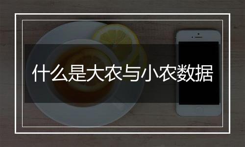 什么是大农与小农数据