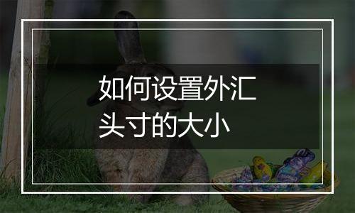 如何设置外汇头寸的大小