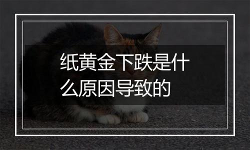 纸黄金下跌是什么原因导致的