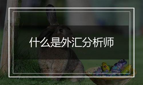 什么是外汇分析师