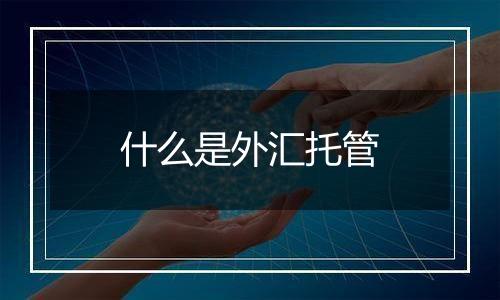 什么是外汇托管
