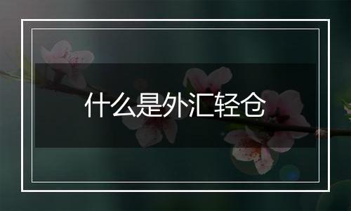 什么是外汇轻仓
