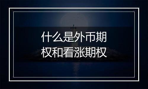 什么是外币期权和看涨期权