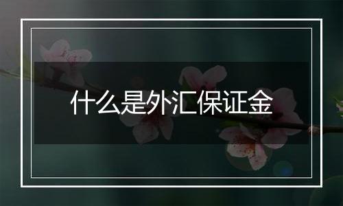 什么是外汇保证金
