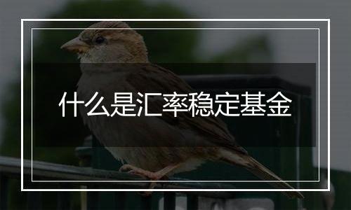 什么是汇率稳定基金