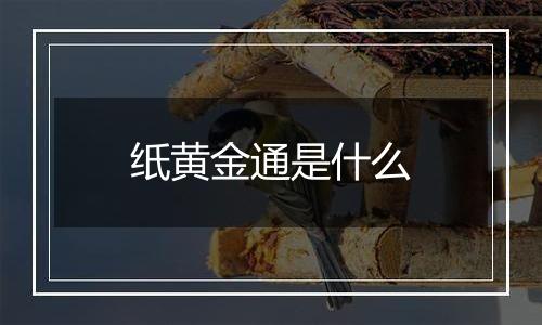 纸黄金通是什么