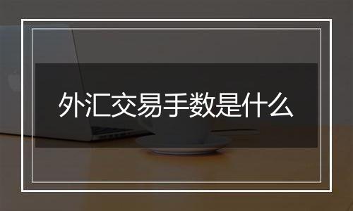 外汇交易手数是什么