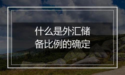 什么是外汇储备比例的确定
