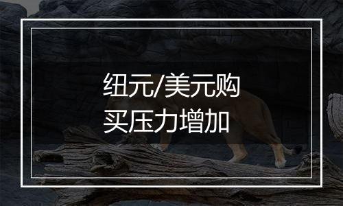 纽元/美元购买压力增加