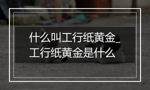 什么叫工行纸黄金_工行纸黄金是什么