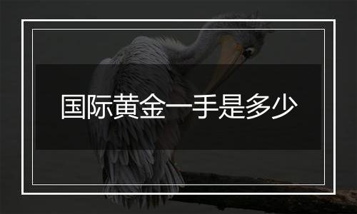 国际黄金一手是多少
