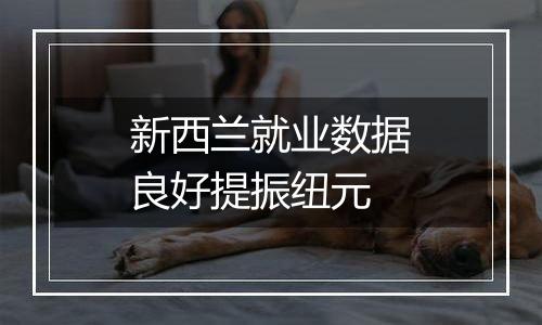 新西兰就业数据良好提振纽元