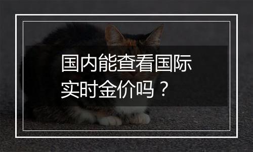 国内能查看国际实时金价吗?