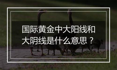 国际黄金中大阳线和大阴线是什么意思?