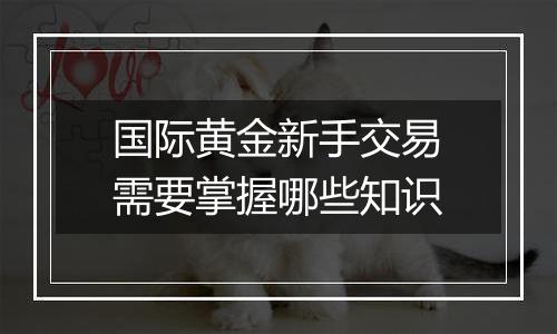 国际黄金新手交易需要掌握哪些知识