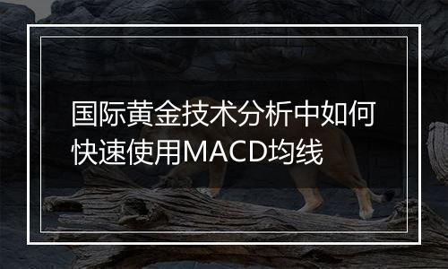 国际黄金技术分析中如何快速使用MACD均线