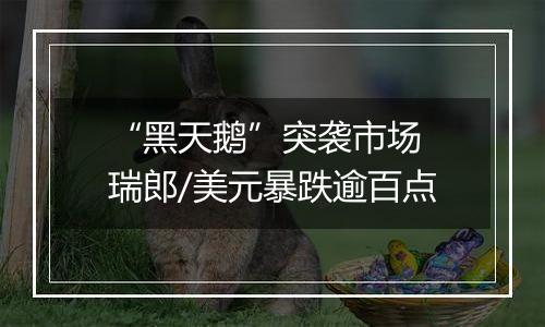 “黑天鹅”突袭市场 瑞郎/美元暴跌逾百点