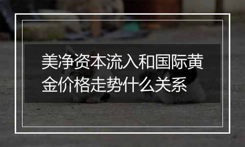 美净资本流入和国际黄金价格走势什么关系