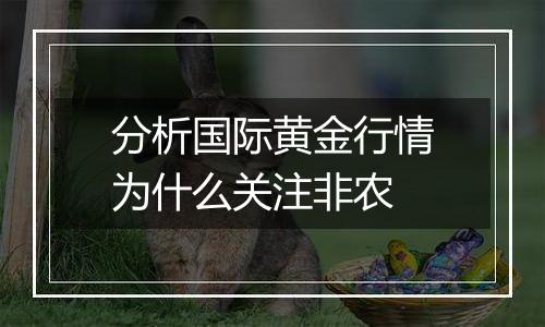 分析国际黄金行情为什么关注非农
