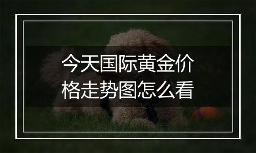 今天国际黄金价格走势图怎么看
