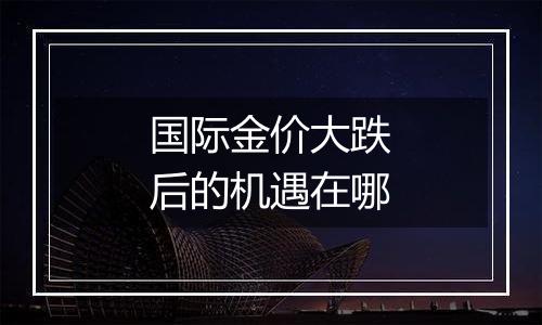 国际金价大跌后的机遇在哪
