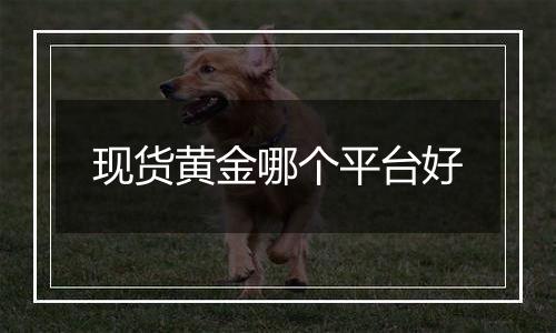 现货黄金哪个平台好