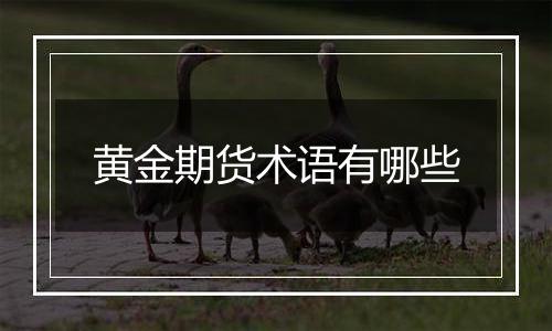 黄金期货术语有哪些