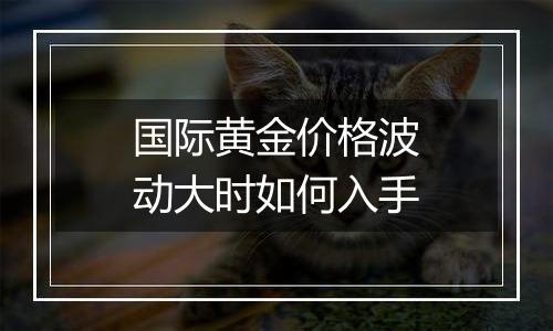 国际黄金价格波动大时如何入手