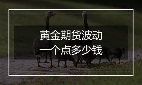 黄金期货波动一个点多少钱
