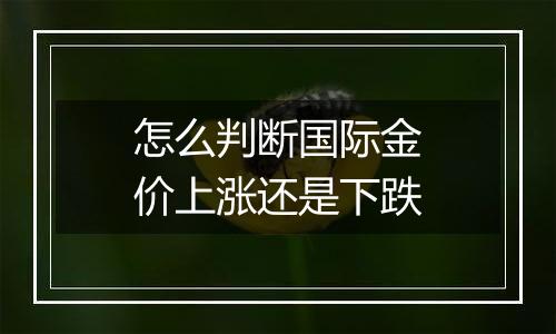 怎么判断国际金价上涨还是下跌