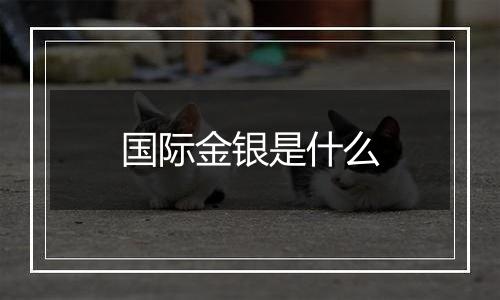 国际金银是什么