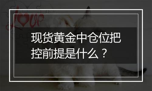 现货黄金中仓位把控前提是什么?