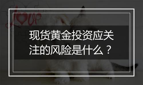 现货黄金投资应关注的风险是什么?