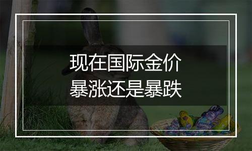 现在国际金价暴涨还是暴跌