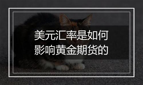 美元汇率是如何影响黄金期货的