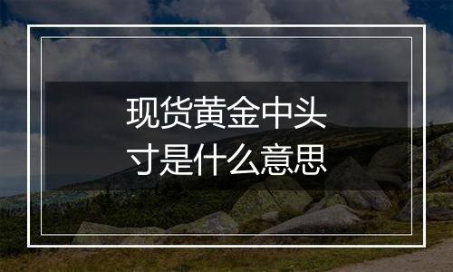 现货黄金中头寸是什么意思