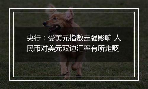 央行:受美元指数走强影响 人民币对美元双边汇率有所走贬
