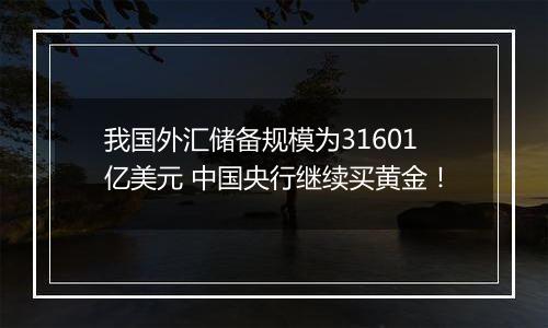我国外汇储备规模为31601亿美元 中国央行继续买黄金!
