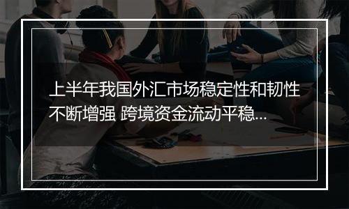 上半年我国外汇市场稳定性和韧性不断增强 跨境资金流动平稳有序