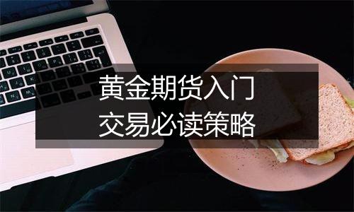 黄金期货入门交易必读策略