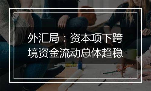 外汇局:资本项下跨境资金流动总体趋稳