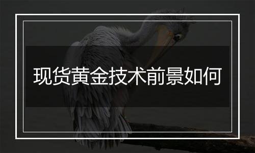 现货黄金技术前景如何