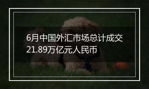 6月中国外汇市场总计成交21.89万亿元人民币
